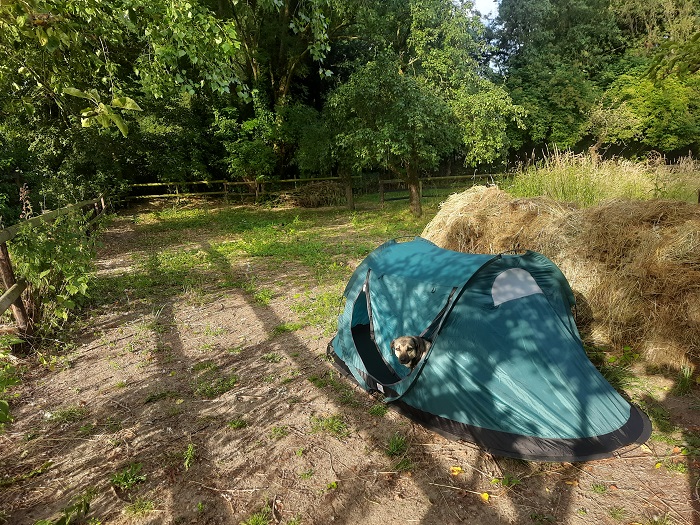 De tent